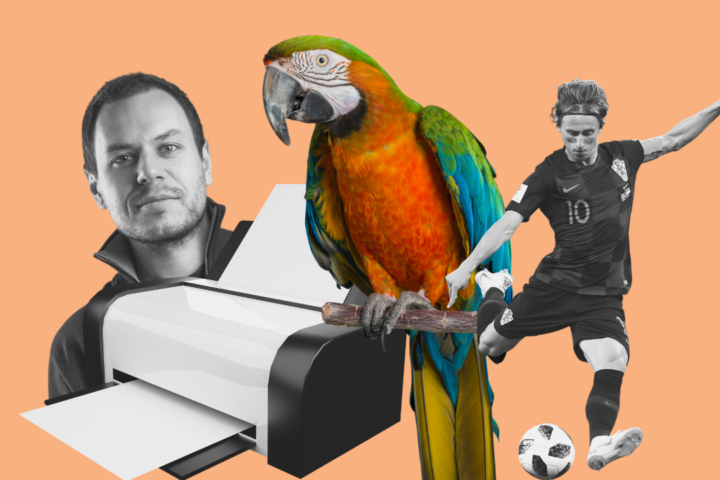 Modrić, parrot and a printer defying the robot uprising