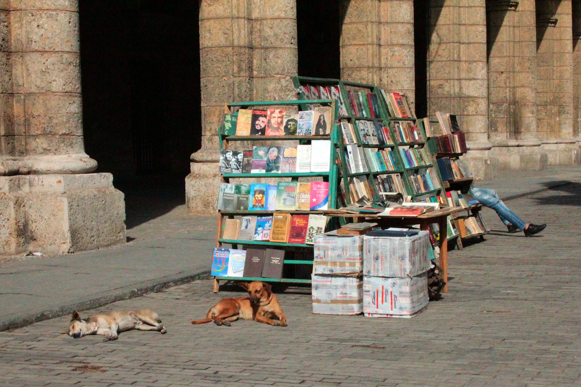 Havana bookstore