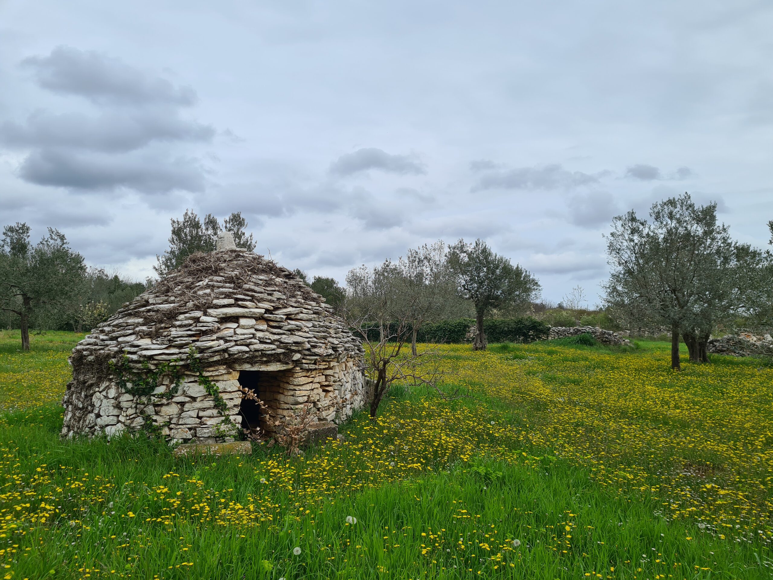 infobip-campus-nature