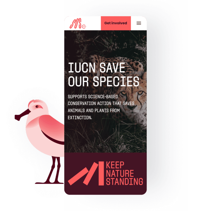 IUCN Save Our Species featured image